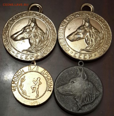 л Дружных. До 26.03.2016 в 22.00 - 20160320_201613-1