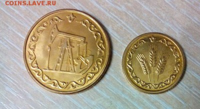 Хлебный  и топливный жетон Татарстана - DSC_0126