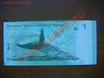 -v- Продаю красивые боны ПРЕСС - DSC09006.JPG