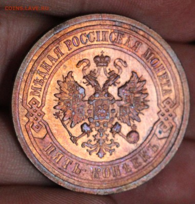 5 Копеек 1911 2 штуки vf+ - IMG_4099.JPG