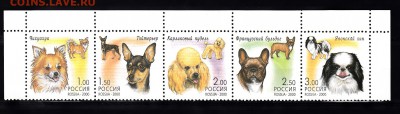 РФ 2000 собаки сцепка - 205