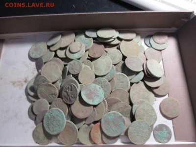 150 не чищенной "империи" (до 26.03) - IMG_1771.JPG