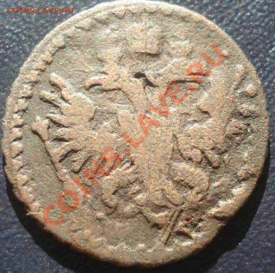 полушка 1731 с копейки 1728 - полушка 1731 ав.JPG