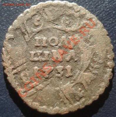 полушка 1731 с копейки 1728 - полушка 1731 рев.JPG