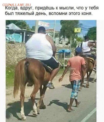 юмор - jvDU0OlSmjs