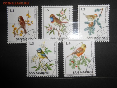 Сан Марино, птицы, полная серия, до 28.03.2016 - DSCN4363.JPG