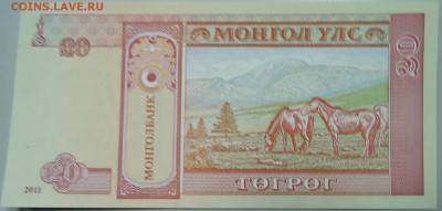 МОНГОЛИЯ - 20 тугриков 2011 г. пресс до 29.03 в 22.00 - DSCN3558.JPG