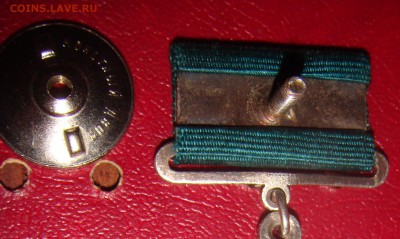 Большая серебряная медаль ВСХВ на оценку - DSC04905.JPG