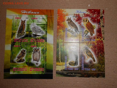 Совы, 4 малых листа, до 29.03.2016 - DSCN1841.JPG