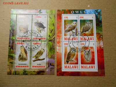 Совы, 4 малых листа, до 29.03.2016 - DSCN1839.JPG