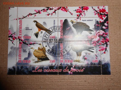 Хищные птицы, 4 малых листа, до 29.03.2016 - DSCN1838.JPG