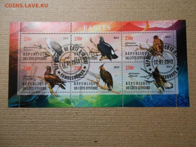 Хищные птицы, 4 малых листа, до 29.03.2016 - DSCN1837.JPG