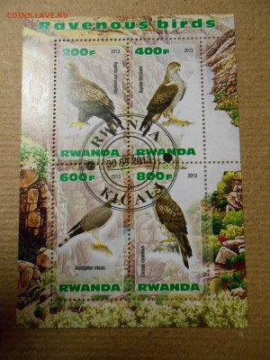 Хищные птицы, 4 малых листа, до 29.03.2016 - DSCN1835.JPG