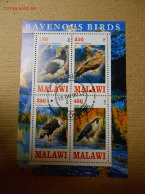 Хищные птицы, 4 малых листа, до 29.03.2016 - DSCN1834.JPG