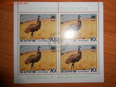 Страус Эму, 200 лет открытия Австралии, квартблок, Корея - DSCN4479.JPG
