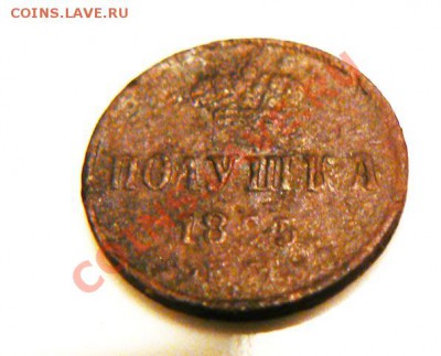 полушка 1855, подуставшая - полушка