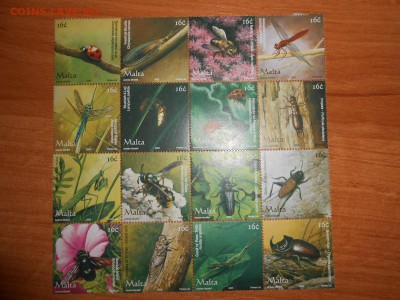 Мальта, насекомые, 16 марок, полная серия, чистые - DSCN4484.JPG