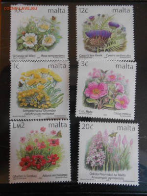 Мальта, цветы, полная серия, чистые, до 29.03.2016 - DSCN4489.JPG