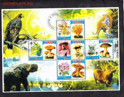 Конго 2005 фауна - 49