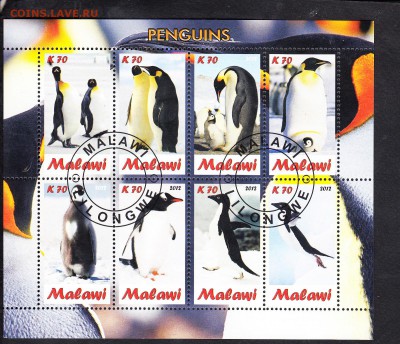Малави 2012 пингвины - 51