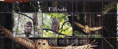 Джибути 2012 совы - 90