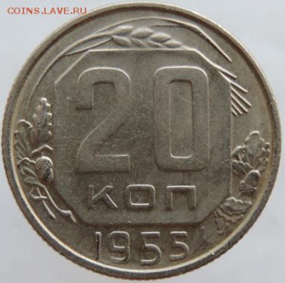 20 копеек 1955г. в сохране до 25.03.16г. в 22.00 - DSCN6300.JPG