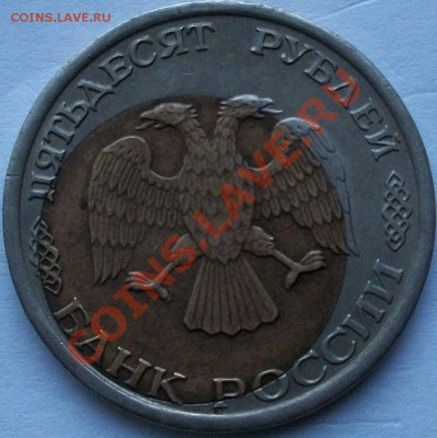 до чиски - 100_0915