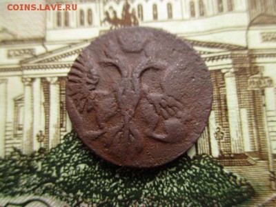 Полушка 1744 год. Редкая. До 30.03.2016 в 22:00 по Москве. - IMG_3637.JPG