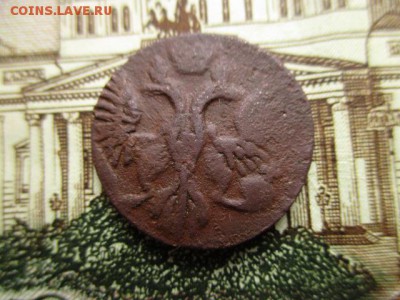 Полушка 1744 год. Редкая. До 30.03.2016 в 22:00 по Москве. - IMG_3636.JPG