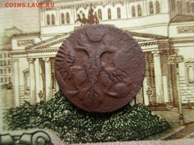 Полушка 1744 год. Редкая. До 30.03.2016 в 22:00 по Москве. - IMG_3635.JPG
