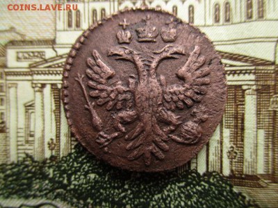 Полушка 1731 год. Рельеф.  Гурт узорный? - IMG_3602.JPG