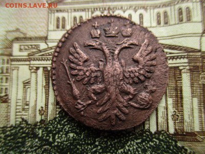 Полушка 1731 год. Рельеф.  Гурт узорный? - IMG_3600.JPG