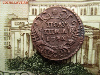 Полушка 1731 год. Рельеф.  Гурт узорный? - IMG_3598.JPG