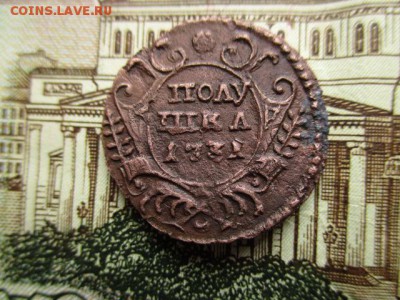 Полушка 1731 год. Рельеф.  Гурт узорный? - IMG_3596.JPG