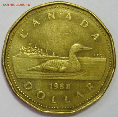 КАНАДА 1 доллар 1988 "Уточка" до 30.03.16 22.00 - IMG_5034.JPG
