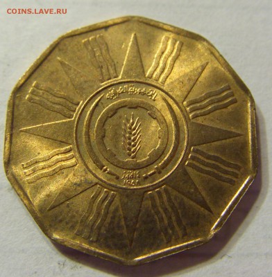 1 филс 1959 Ирак 30.03.2016 22:00 МСК - CIMG9848.JPG