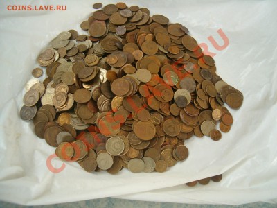 куча советов до 29.10.2010 до 22-00 - HPIM3397