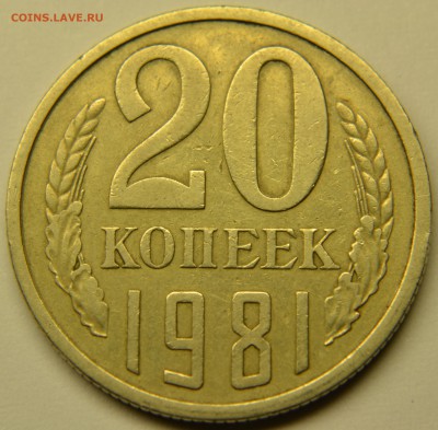 20 копеек 1981 шт.3.3? - DSC_3914.JPG