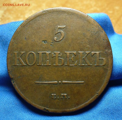 5 копеек 1831 года ЕМ ФХ Не копанина! До 28.03.16 в 22.00 - P1330271.JPG