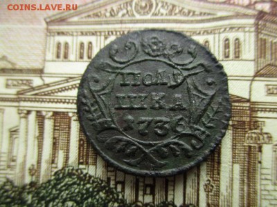 Полушка 1736 год. Рельеф. До 31.03.2016 в 22:00 по Москве. - IMG_3725.JPG