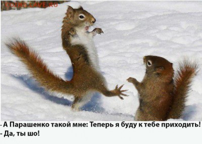 События на Украине. - 0 YYU76