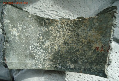 на опознание - DSC01766.JPG