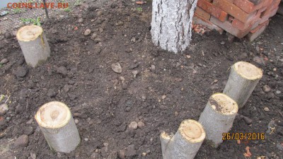 делает - прямо сейчас !!! - IMG_0906.JPG