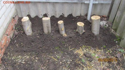 делает - прямо сейчас !!! - IMG_0907.JPG