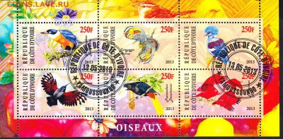 Берег Сл кости 2013 птицы - 175