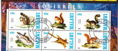 Малави 2013 белки - 178