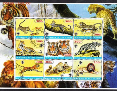 Берег Сл Кости 2005 тигры - 184