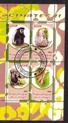 Конго 2010 обезьяны - 185