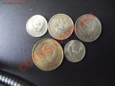 Комплект брачков № 6 короткий аук да 28.10.10. 21-00 мск - 2010_10270014.JPG