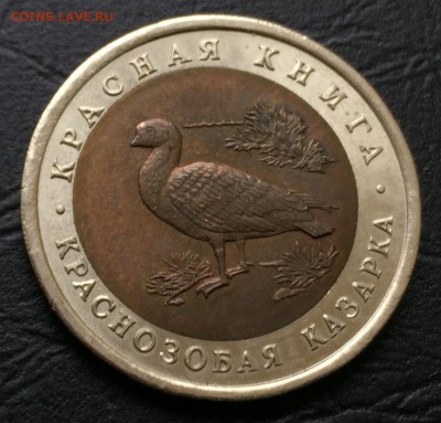 10 рублей Краснозобая казарка с 200 руб! до 31.03.16 22:00 - image-27-03-16-05-18-7